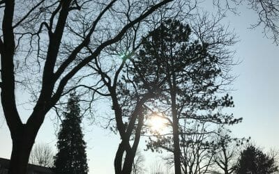 Terug naar het kind in jezelf